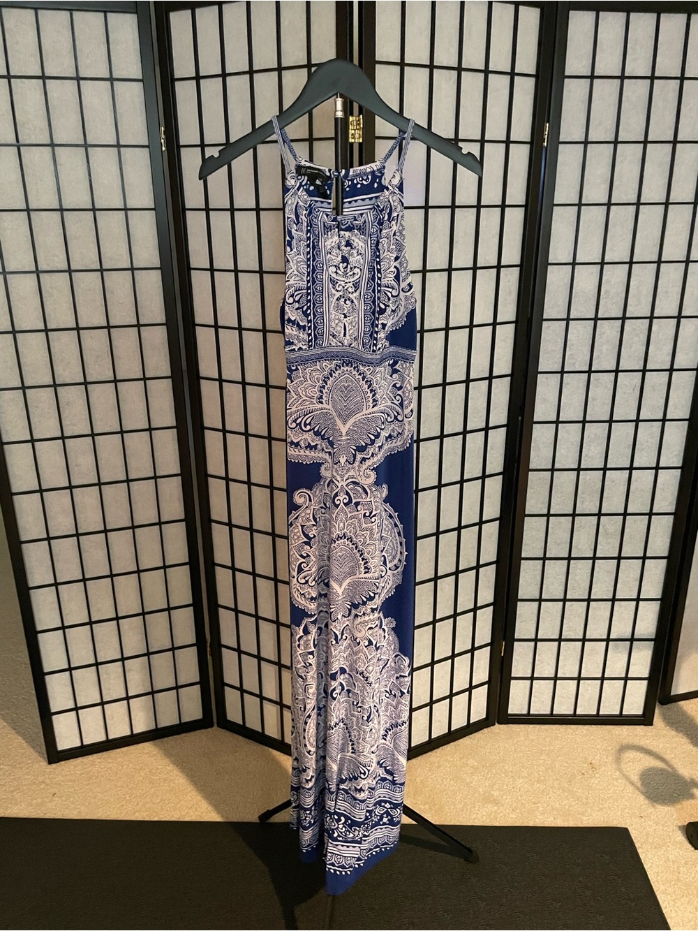 Blue Paisley Print Maxi Dress - Sleeveless Summer Dress